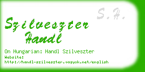 szilveszter handl business card